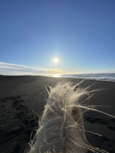 southern Iceland: Black beach riding tour - Key points to know before booking
