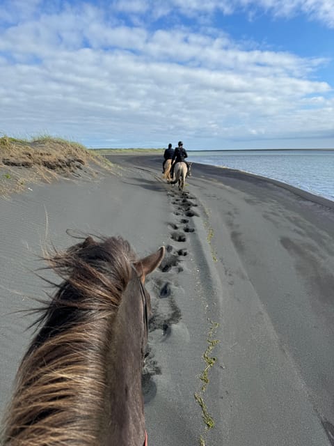 southern Iceland: Black beach riding tour - Reaching Grímsstaðir from Reykjavík