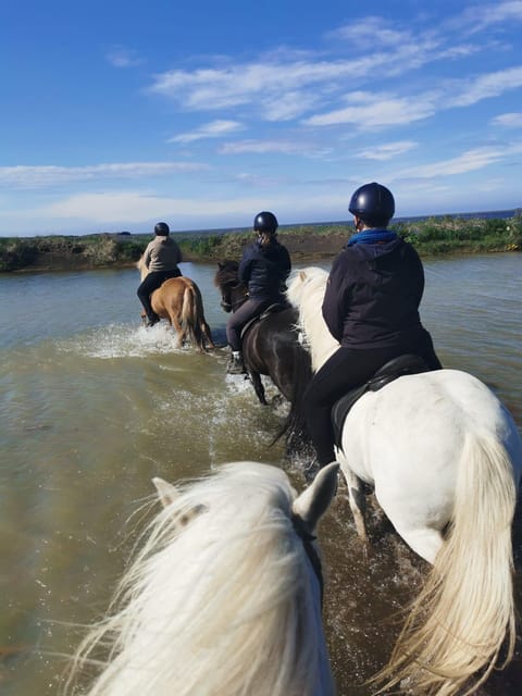 southern Iceland: Black beach riding tour - Is $194 good value?