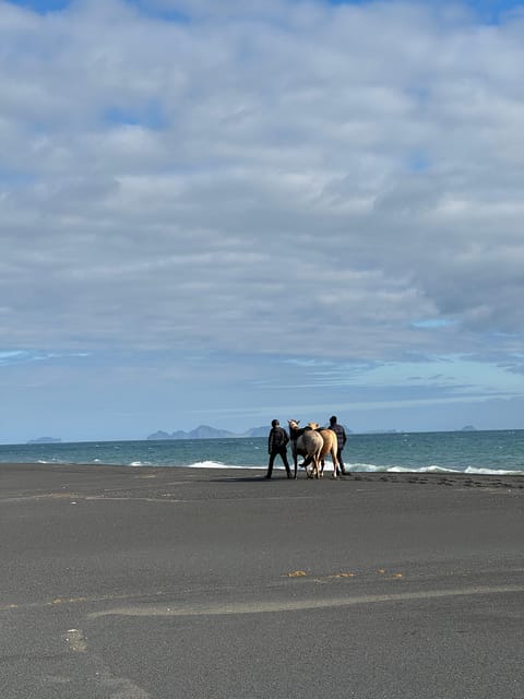 southern Iceland: Black beach riding tour - Who should book this ride?