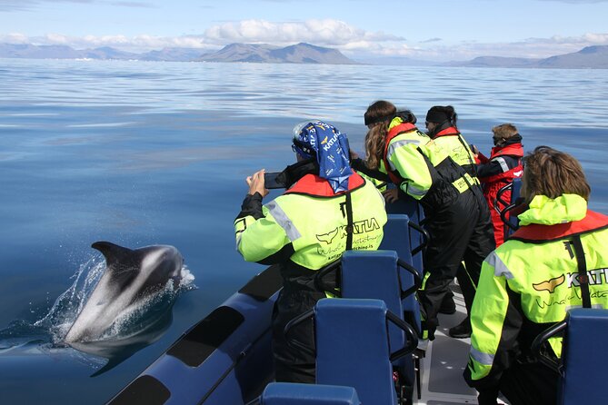 Speedboat Whale Watching Small-Group Tour in Reykjavik - Leaving Geirsgata and seeing Reykjavik from the bay