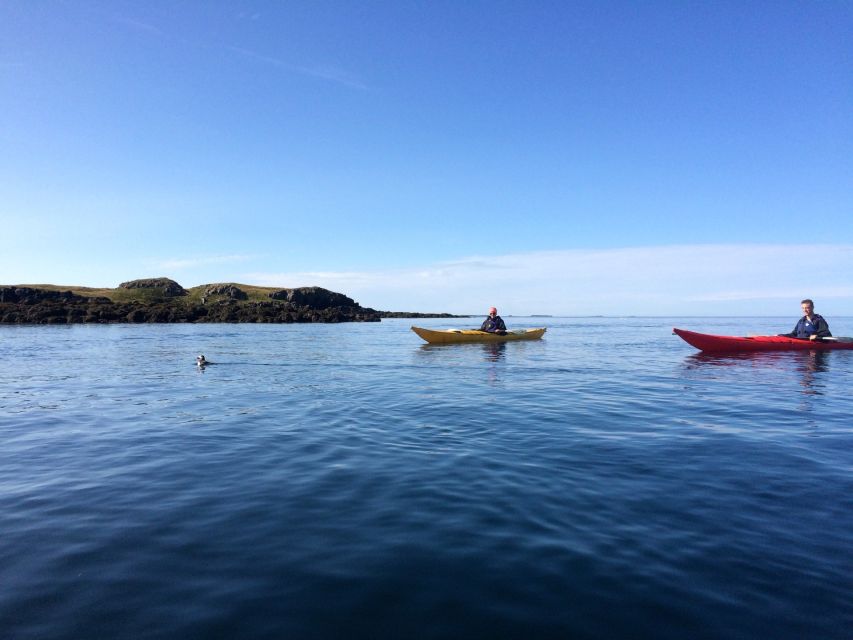 Stykkishólmur: 2-Hour Sea Kayak Tour - Key points of the Stykkishólmur kayak trip