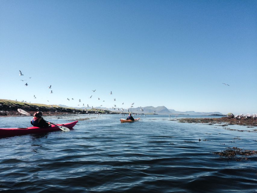 Stykkishólmur: 2-Hour Sea Kayak Tour - Starting beside Stykkishólmur harbor