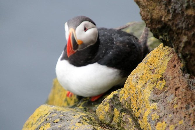The Great Round Tour: Around Iceland in 13 Days - Days 1 to 3: Reykjavik, the Golden Circle, and the south coast