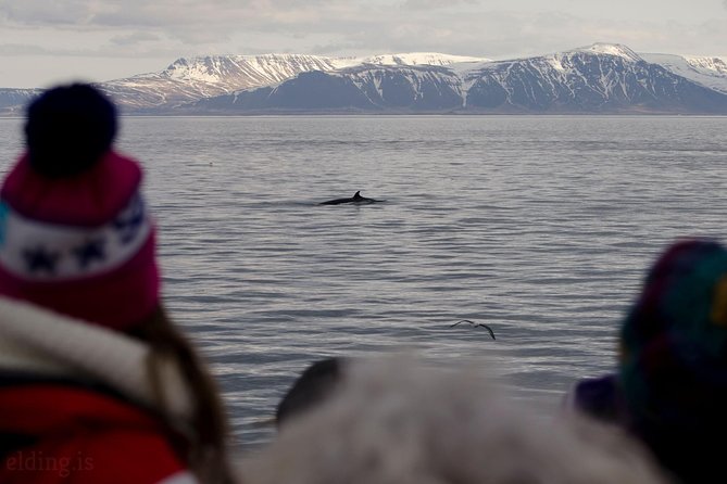 The Original Classic Whale Watching from Reykjavik - Staying warm on an Icelandic boat