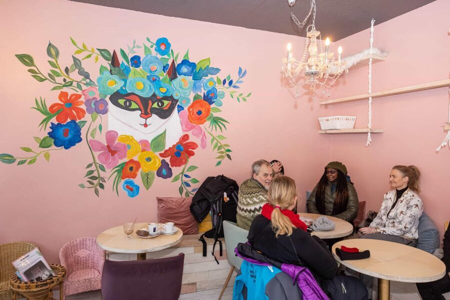 The Private Reykjavik CatWalk - Key points to know before you book