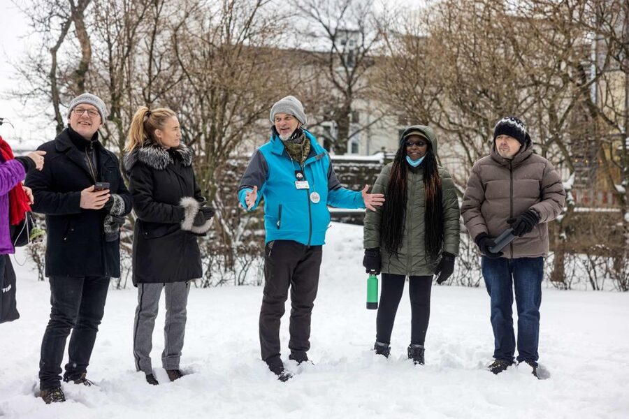 The Private Reykjavik CatWalk - Why this cat walk feels different from a standard Reykjavik tour