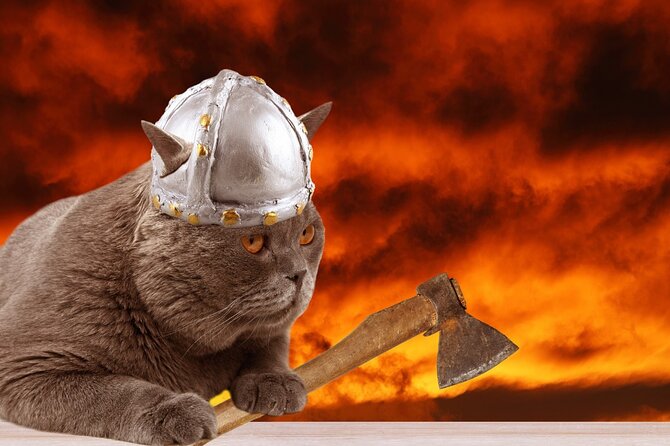 The Reykjavik Cat Walking Tour - Starting at Ingólfstorg and the settlement story