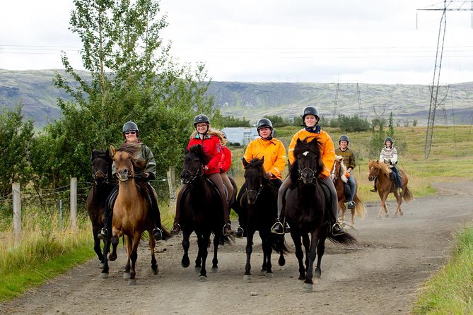 The Siggi Tour from Reykjavík: 1.5 to 2-Hour Ride - Key points to know before you book