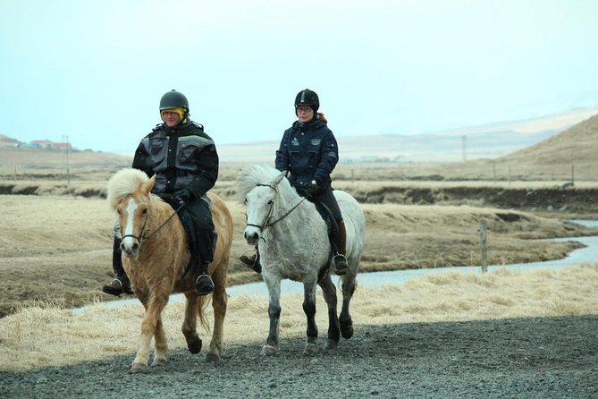 The Viking Horse Riding Experience in North Iceland - Trying the smooth tölt
