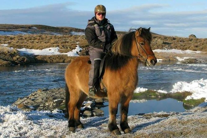 The Viking Horse Riding Experience in North Iceland - Why the group size matters