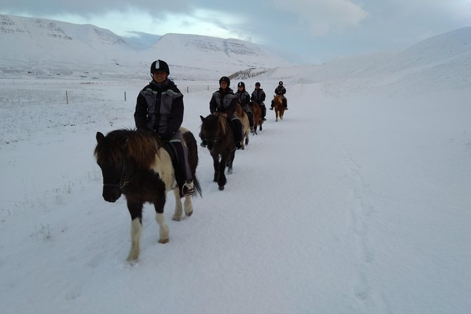 The Viking Horse Riding Experience in North Iceland - Winter riding: beautiful, cold, and practical
