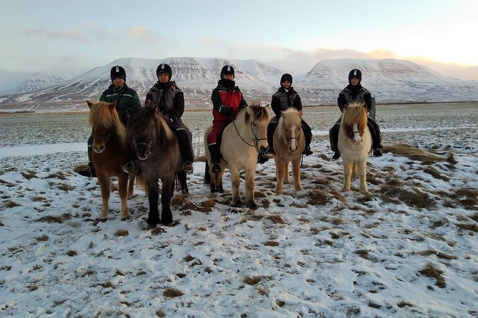 The Viking Horse Riding Experience in North Iceland - What the $123.75 price includes in value
