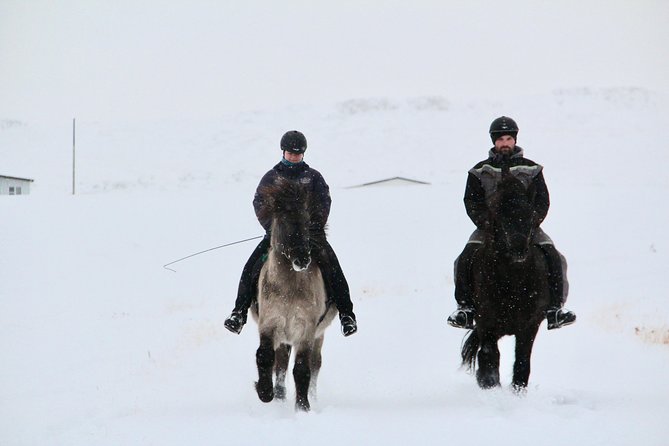 The Viking Horse Riding Experience in North Iceland - From Hestasport Reception to the saddle