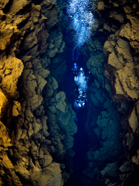 Thingvellir: Silfra Fissure Diving with Optional Pickup - Meeting Arctic Adventures at Thingvellir