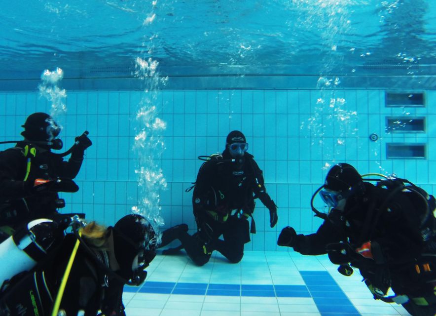 Thingvellir: Silfra Fissure Diving with Optional Pickup - Price and What the $281 Covers
