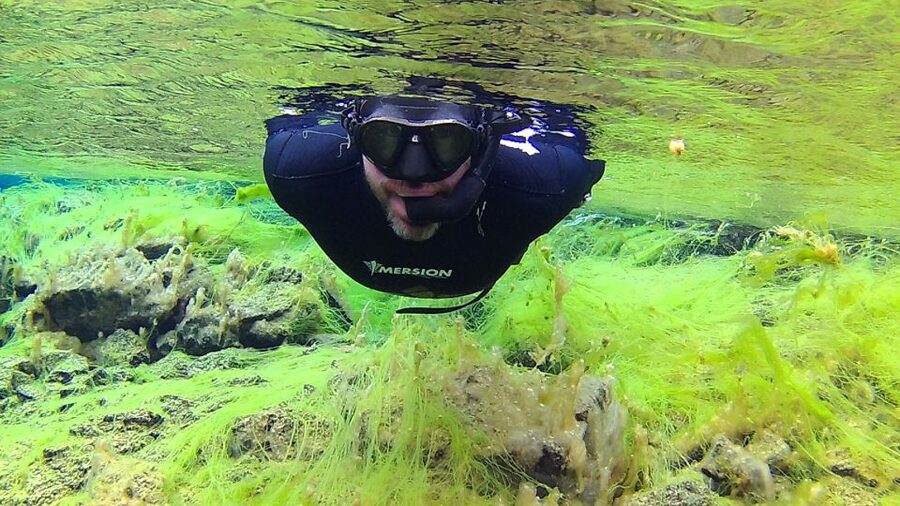 Thingvellir: Silfra Freedive Adevnture with a Guide - Key points at a glance