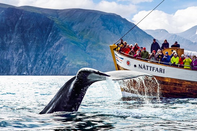 Traditional Oak Ship Whale Watching Tour From Husavik - Humpbacks, dolphins, puffins, and more