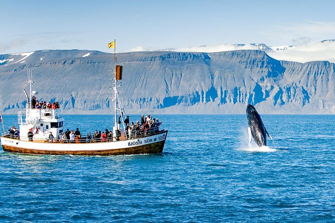 Traditional Oak Ship Whale Watching Tour From Husavik - Warm overalls, cold shoes, and the return treat