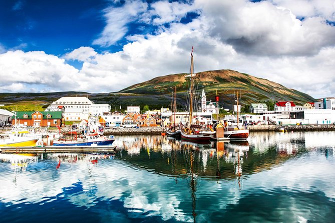 Traditional Oak Ship Whale Watching Tour From Husavik - Should you book the Original Húsavík whale watch?