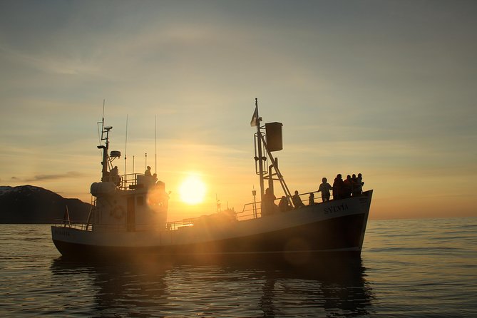 Traditional Whale Watching from Húsavík by Local Family Company - Guides, commentary, and wildlife spotting