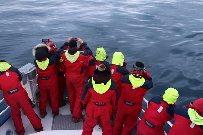 Two-In-One: Whale & Puffin Watching Tours from Reykjavik - Guides, comfort, and wildlife manners