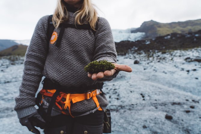 Vatnajökull Guided Beginner Glacier Walk with 4x4 Transfer - Key points before you book