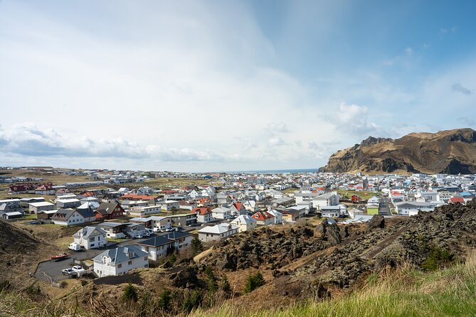 Vestmannaeyjar, Puffins & Volcanoes Small Group Day Tour - Key details before you book