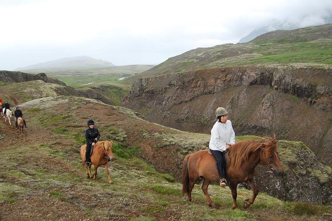 Viking Horse Riding and Golden Circle Tour from Reykjavik - What the $213.97 price gives you