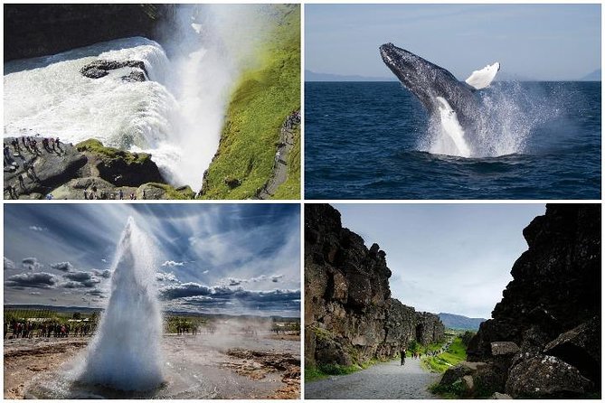 Whale Watching and Golden Circle Tour from Reykjavik - Strokkur and the Haukadalur hot springs