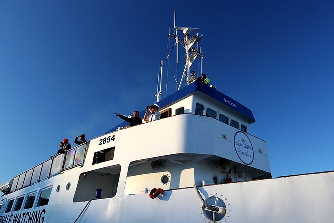 Whale Watching and Marine Life Tour in Reykjavik - Who Will Enjoy This Tour Most?