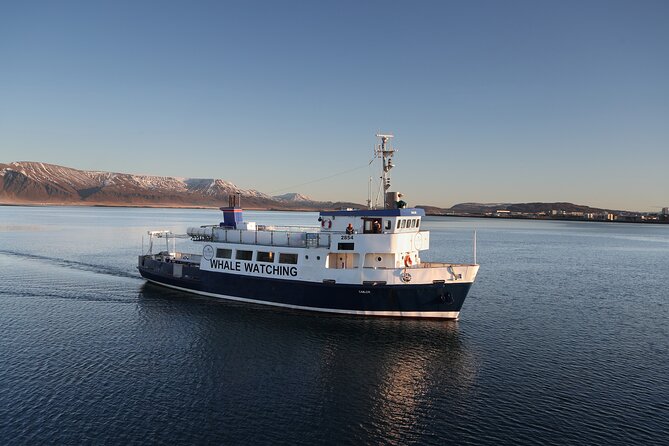 Whale Watching and Marine Life Tour in Reykjavik - Guides Who Help You Read the Water