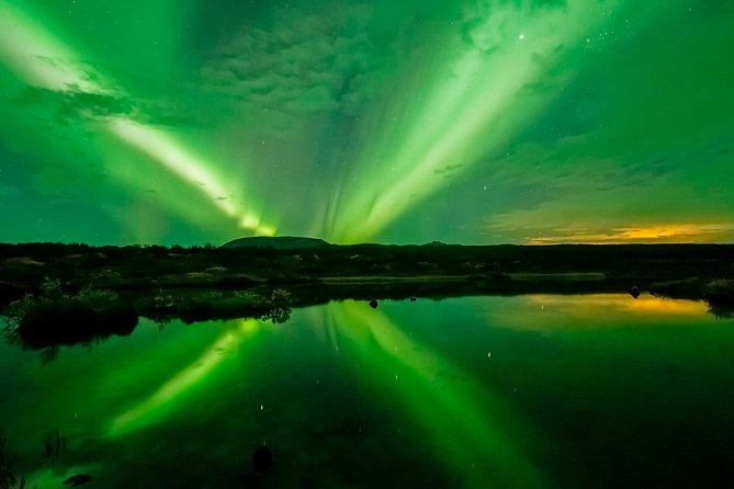 Whale Watching and Northern Lights Half-Day Combo Tour - Who Gets the Best Value