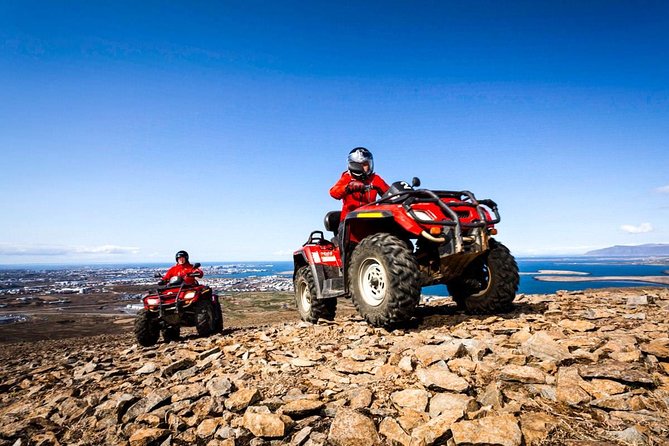 Whale Watching & ATV Adventure from Reykjavik - Three hours watching Faxaflói Bay