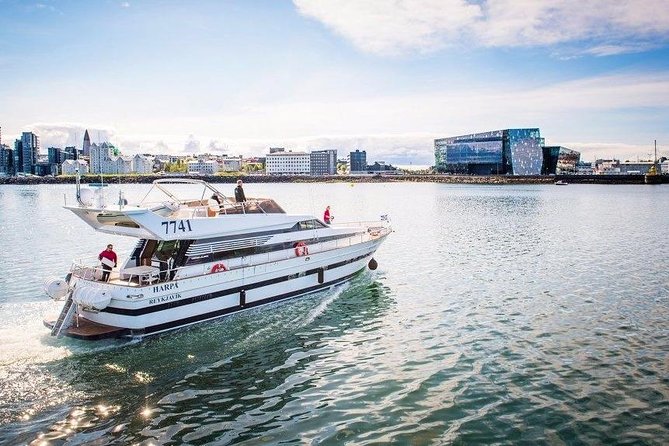 Whale Watching & Dolphin Yacht Cruise - Key points to know before you book