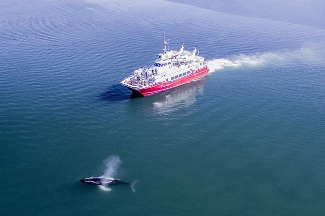 Whale Watching from Downtown Akureyri - Leaving Akureyri for Eyjafjord’s mountain walls