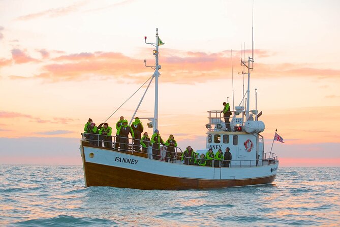 Whale Watching in Husavik - Staying warm on the water