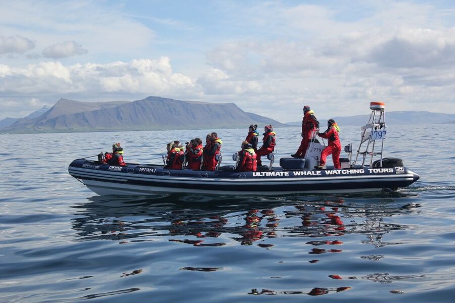 Whale Watching in Reykjavik by Speedboat - Who should choose this tour?