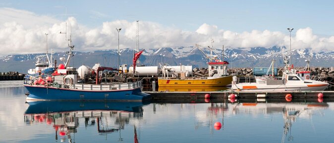 Whale Watching on a Traditional Oak Sailing Ship from Husavik - Why This Húsavík Sailing Trip Feels Different
