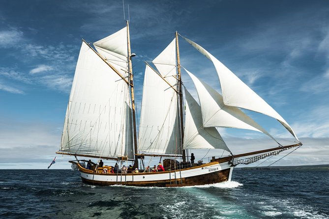 Whale Watching on a Traditional Oak Sailing Ship from Husavik - The Weather Question You Should Take Seriously