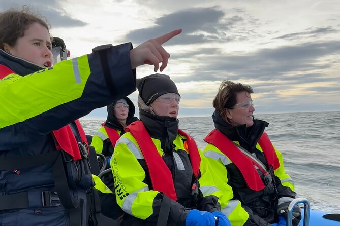 Whale Watching - RIB Boat Adventure in Kopavogur, Iceland - About 60 minutes searching for whales