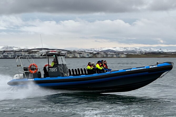 Whale Watching - RIB Boat Adventure in Kopavogur, Iceland - Nauthólsvík and the taste of harðfiskur