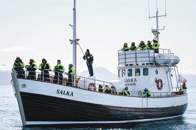 Whales and Puffins Tour from Husavik - What the $130 price delivers