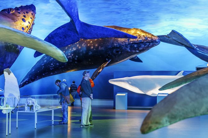 Whales Of Iceland Admission Ticket - How long should you plan to stay?