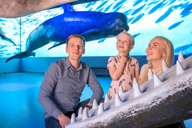 Whales Of Iceland Admission Ticket - Price, location, and what you get