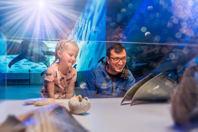 Whales Of Iceland Admission Ticket - Best for families, whale fans, and bad weather