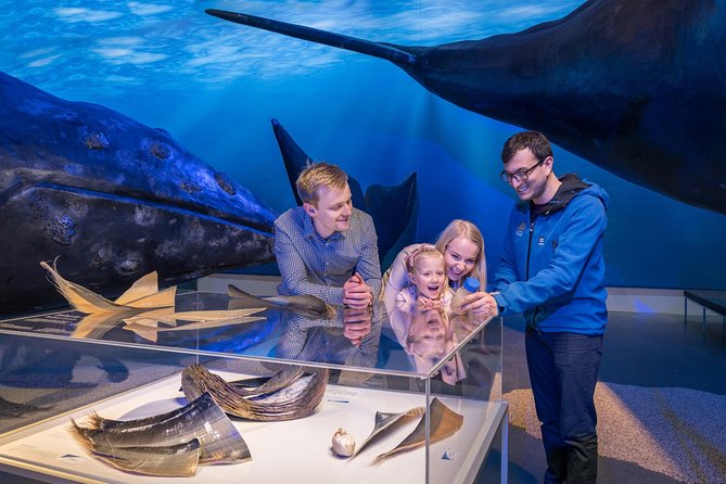 Whales of Iceland from Land and Sea - What you may see in Faxaflói Bay