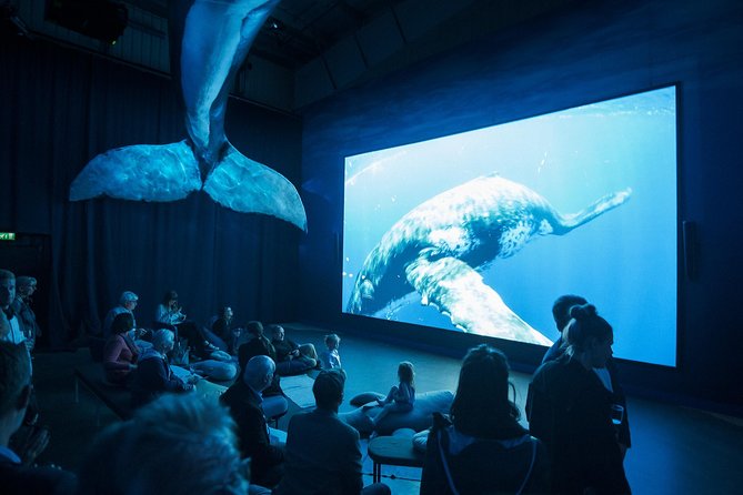 Whales of Iceland from Land and Sea - Should you book the Reykjavik whale cruise and museum?